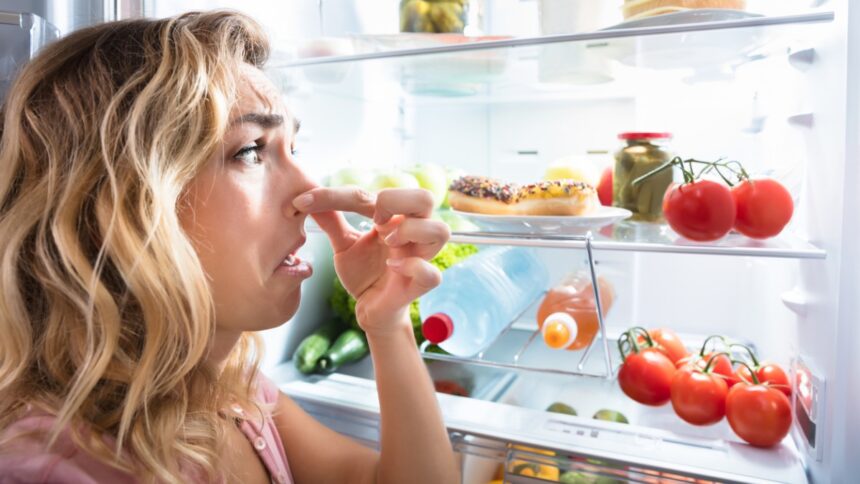 Büdös hűtőszag ellen filléres megoldás