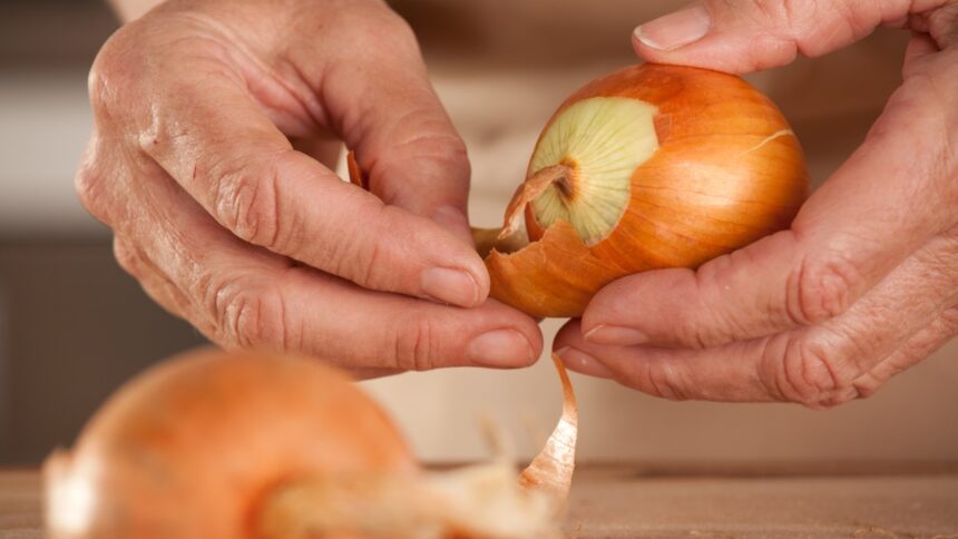 Hagymahéj eltávolítása vöröshagymáról – hasznos alapanyag kertészkedéshez